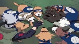 Pakkun Find Akatsuki's Hideout@4