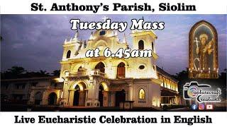 Tuesday English Mass Live at 6.45am, 24th June 2025 | St Anthony's Church Siolim