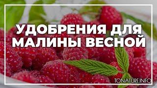 Удобрения для малины весной | toNature.Info