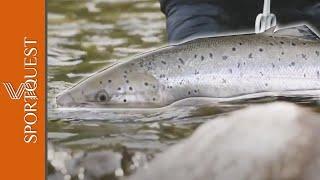 Fly Fishing For Atlantic Salmon On the Gaula River, Winsnes Lodge, Norway