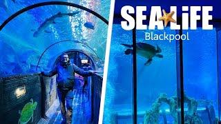 SEA LIFE Blackpool 2025 FULL Tour - AMAZING Ocean Tunnel!