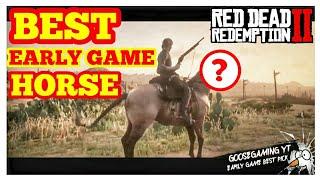 BEST Early Game HORSE Red Dead Redemption 2 Online