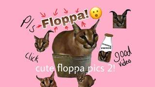 CUTE FLOPPA PICS 2!!