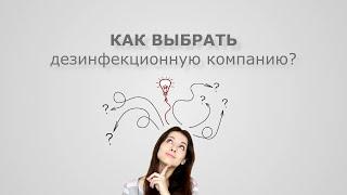 Службы дезинфекции – куда обращаться?