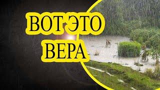 Абсолютная Вера | Сильная Притча О Боге