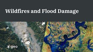 Deep Dive - Wildfires and Flood Damage Research Project