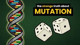 Mutation Bias: Are Mutations Truly Random?