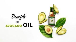 Health Benefits of using Avocado Oil for Cooking - @Witapedia