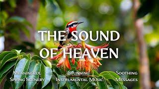 The Sound of Heaven : Instrumental Worship and Scriptures with Birds  Christian Instrumental