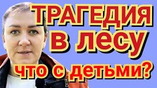 Деревенский дневник очень многодетной мамы - трагедия в лесу, что с детьми?