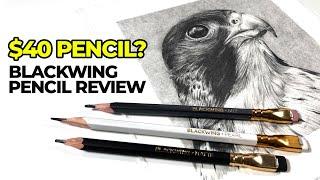 Blackwing Pencil Review - Falcon Drawing