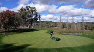 Use Liquid Fertiliser For Colour and Growth