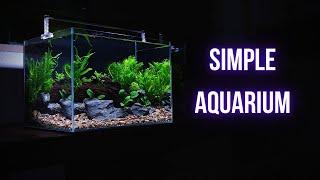 SIMPLE PLANTED AQUARIUM SETUP | Step by step LOW TECH AQUASCAPING TUTORIAL | EP1