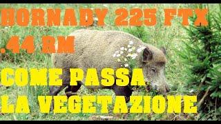 Caccia Ungulati Proiettili nella Vegetazione Test Dowel Box Hornady 225 FTX LEvo .44 RemingtonMagnum