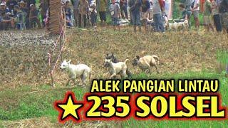 235 TEAM SOLSEL  ALEK PANGIAN LINTAU