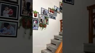 Plant Gallery Wall #shorts #plantwall #verticalgardens #hangingplanters #diyideas #photogallery