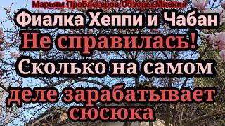 СюсюкаХ.Ни один проект не дал $?Ни трак,ни недвижка,ни школа,ни ют?Я ошиблась в сюсюке и ИЗВИНИЛАСЬ!