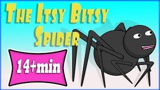 The Itsy Bitsy Spider | Nursery Rhyme