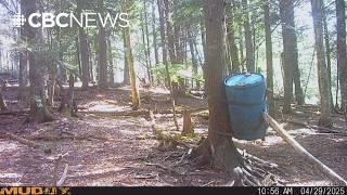 RCMP collects footage from missing kids' neighbour