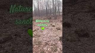 Nature Sanctuary Happy Place  #behappy #naturelovers #naturetherapy #freshair #springvibes #joy