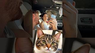 That was a close one  #cat #memes #funny #trending