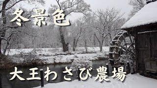 Daio Wasabi Farm in the snow（Azumino City, Nagano Prefecture, Japan）