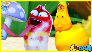 LARVA NEW SEASON 2025 : SNOW MUSHROOM  | MINI SERIES FROM ANIMATION LARVA |THE BEST OF FUNNY CARTOON