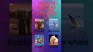 Which animal is the biggest??? #shorts #trending #quiz