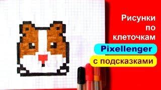 Как рисовать Хомяка по клеточкам в тетради Пиксель Арт Hamster