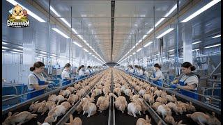 Rabbit Farm: How Chinese Farmers Raise Millions of Rabbits for Meat and Process Them in Factories