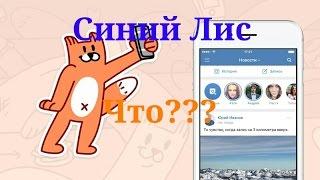 Стикеры вк "Лис" это Синий Кит??Что ВК насрать на жизни людей!!!