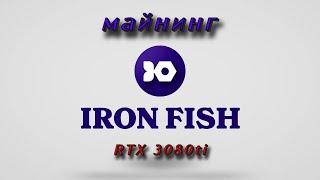 Запуск майнинга в TESTNET Ironfish на 3080ti. HiveOS, Windows, RaveOS