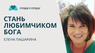 Стать Божьим Любимчиком - Елена Пашарина