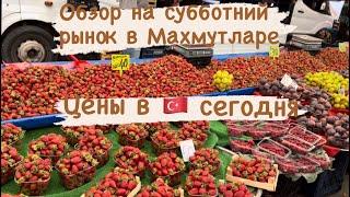 Цены в Турции сегодня. Показываю актуальные цены на субботнем рынке в Аланьи Махмутлар