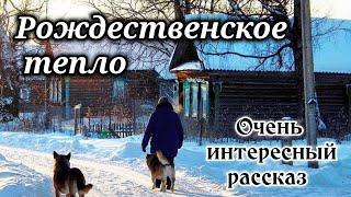 ️ОЧЕНЬ ИНТЕРЕСНЫЙ РАССКАЗ."Рождественское тепло" «Рождественский рассказ» / (Христианский рассказ)