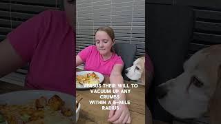 The Beagle Guilt Trip: Eating Dinner Beside My Dog! 