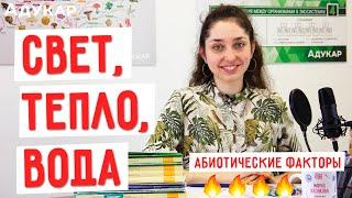 Свет, тепло, вода как абиотические факторы | Биология ЦТ, ЕГЭ