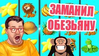 КАК ИГРАТЬ И ВЫИГРАТЬ В ОБЕЗЬЯНКИ CRAZY MONKEY  ВЫИГРЫШИ В КАЗИНО ВУЛКАН ИГРОВЫЕ АВТОМАТЫ ОНЛАЙН