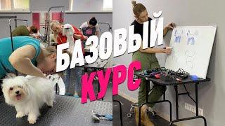 БАЗОВЫЙ КУРС ПО ГРУМИНГУ / ОБУЧЕНИЕ ГРУМИНГУ / КУРСЫ ГРУМИНГА / GROOM SCHOOL