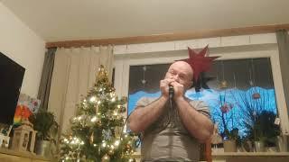 Twinkle Twinkle Little Star - Harmonica in James Cotton Style