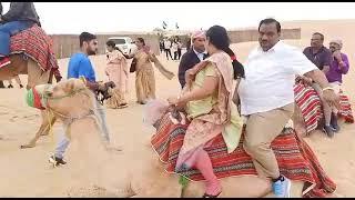 Camel ride in Dubai Desert.