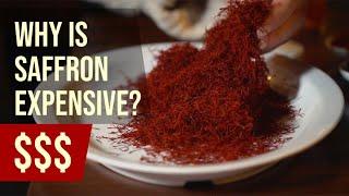 Is Saffron Worth Its Weight In Gold? | Debunking a Myth