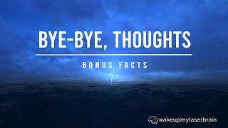 Epic Sea Storm with Lightning White Noise | for Relaxing | Laser Focus | Deep Sleep | Bonus Fact