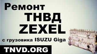 Ремонт ТНВД Zexel c грузовика ISUZU Giga