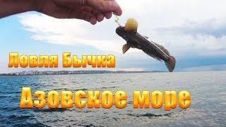 Рыбалка на спиннинг, Азовском море! Куча бычка! Спиннинг