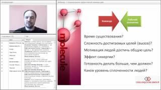 Формирование эффективной команды  Пример