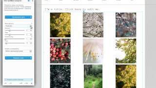 Конструктор сайтов Wix | Добавление галереи Grid на сайт Wix