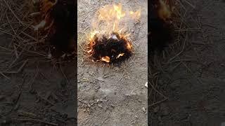#home made #kaju #video