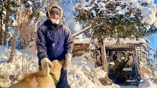 Весна на пороге Таёжные отшельники (30 лет одиночества 59 серия)