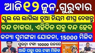today's odisha morning news | 12 june 2025 | Subhadra yojana online apply | pm kisan money transfer